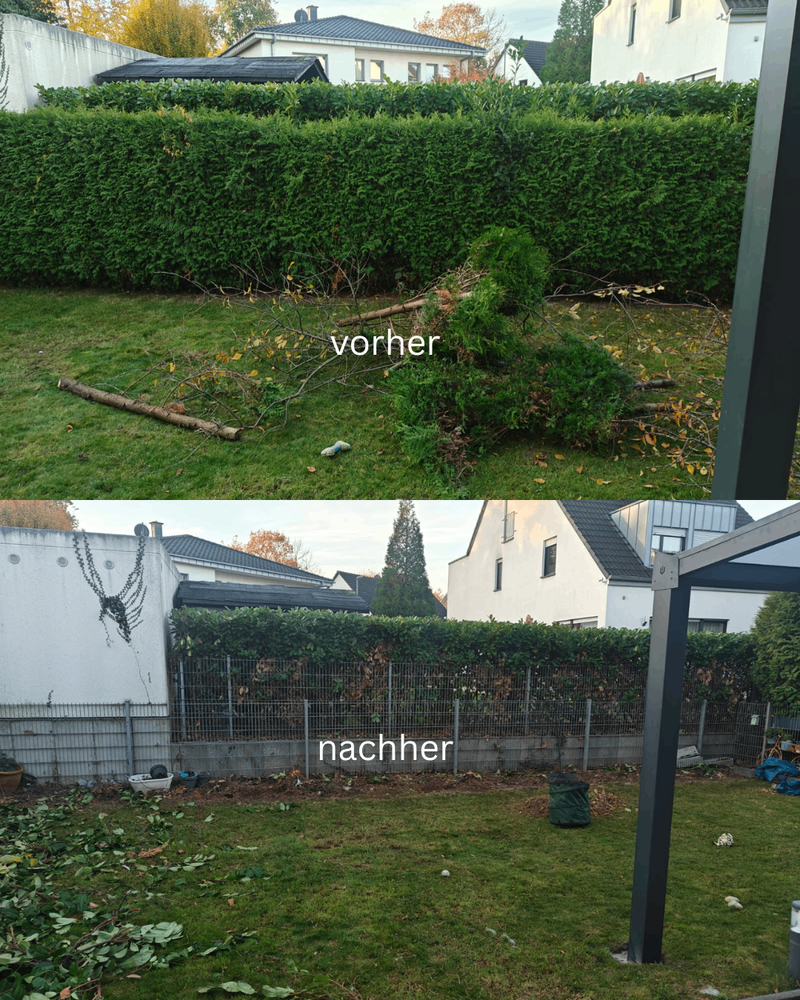 user-upload/business/work-media/4325391373c44bc19198ca13eeda7fe5.jpeg