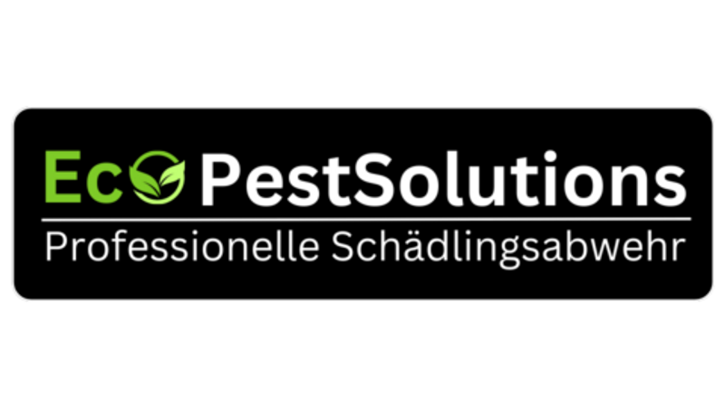 user-upload/business/work-media/cdd608f2c26e49cd89143e0156740163.jpeg