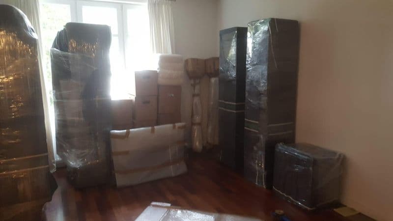 user-upload/business/work-media/pvcc8pcul7ra2dsbereq66_schenck-&-hansen-kg.jpeg